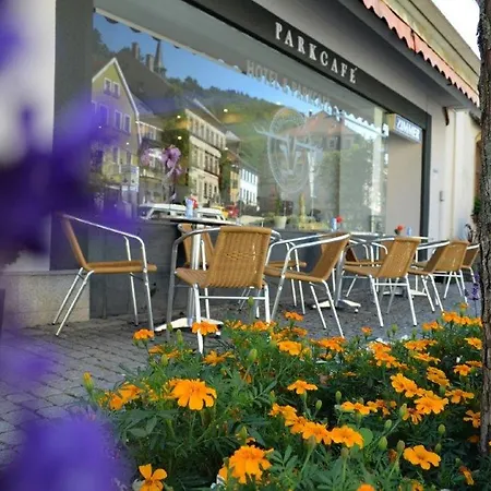 Hotel- Und Parkcafe Bad Berneck Hotel